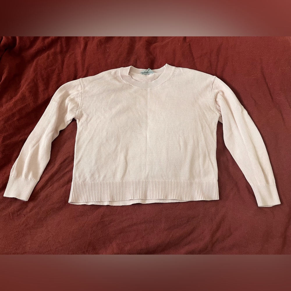 Everlane Cotton Crew Sweater